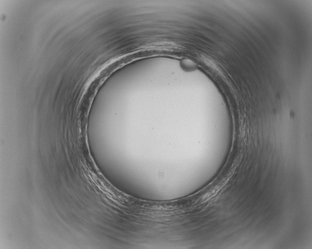 X0000053070923200508081216