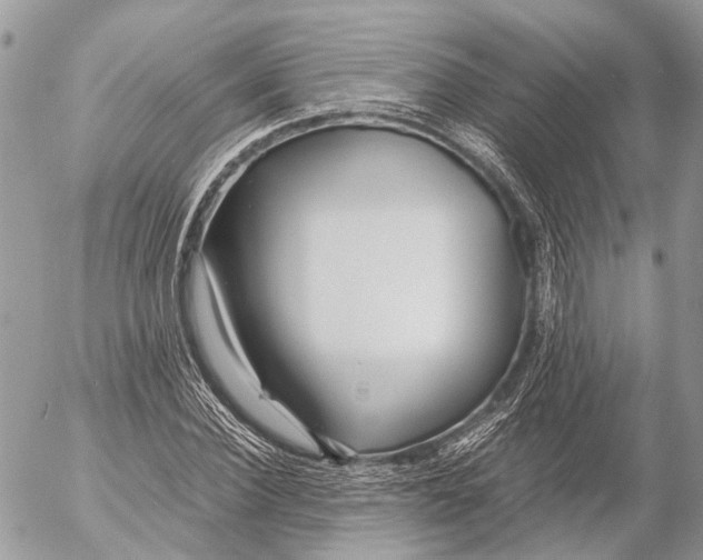 X0000053070924200508081216