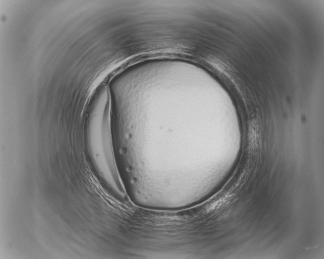 X0000053070925200508081216