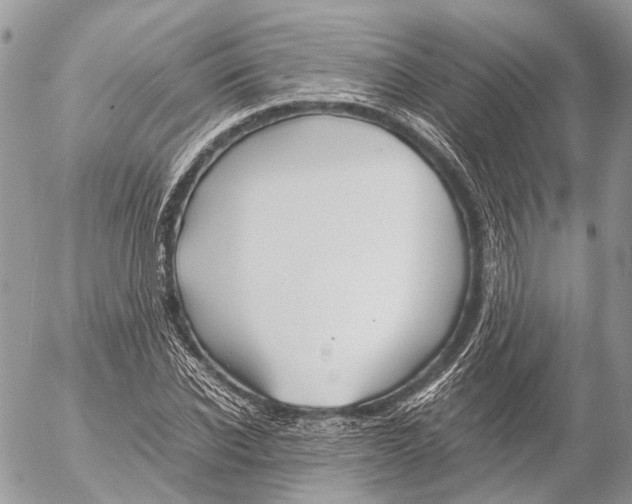 X0000053070926200508081216