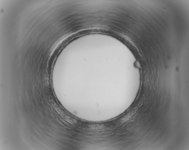 X0000053070927200508081216