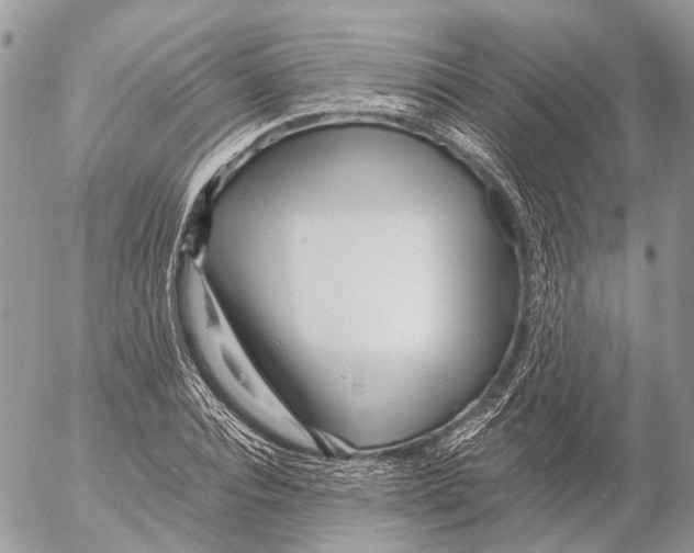 X0000053070928200508081216