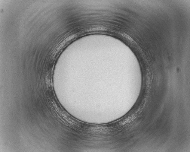 X0000053070929200508081216