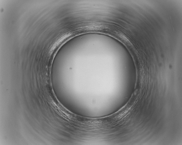 X0000053070930200508081216