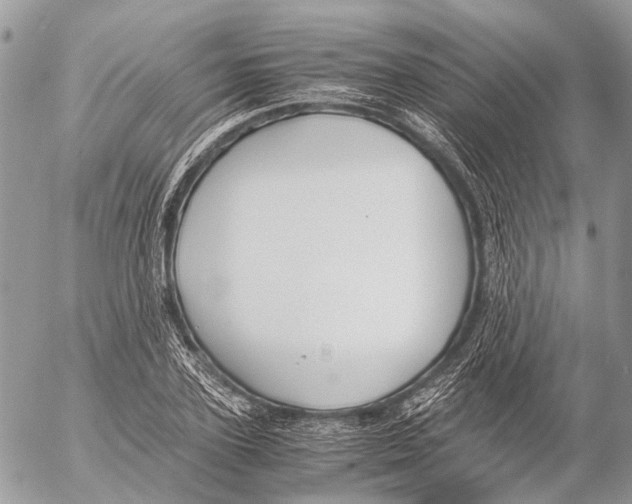 X0000053070931200508081216