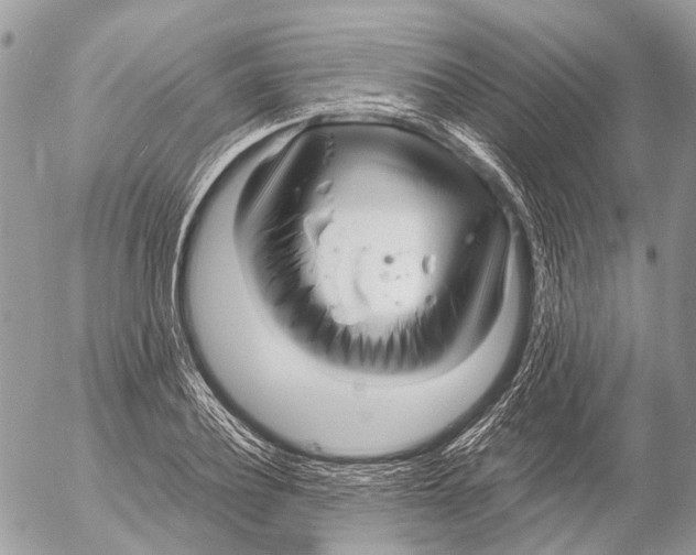 X0000053070932200508081216