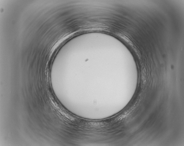 X0000053070933200508081216