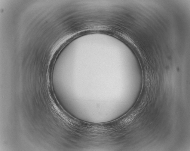 X0000053070935200508081216