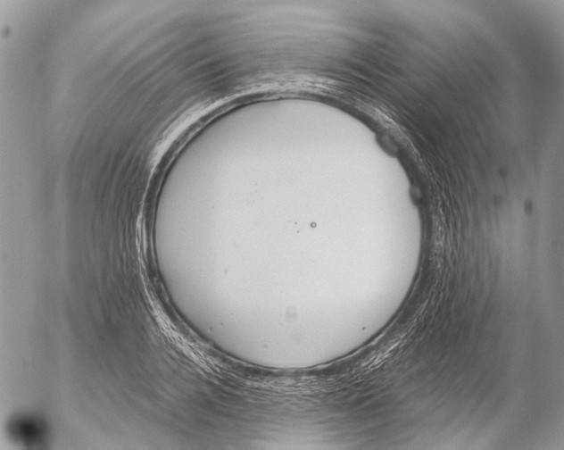 X0000053070936200508081216