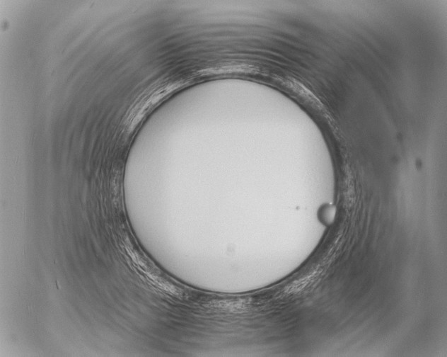 X0000053070937200508081216