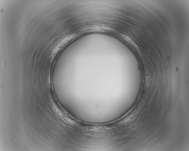 X0000053070938200508081216