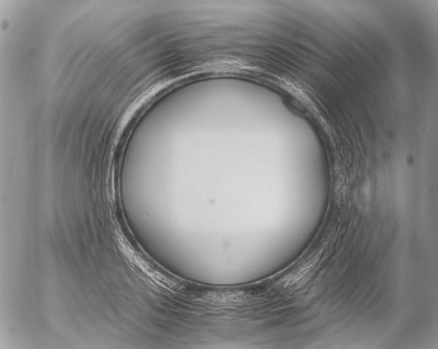 X0000053070939200508081216