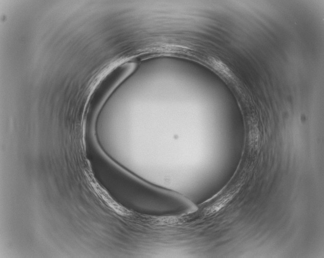 X0000053070940200508081216