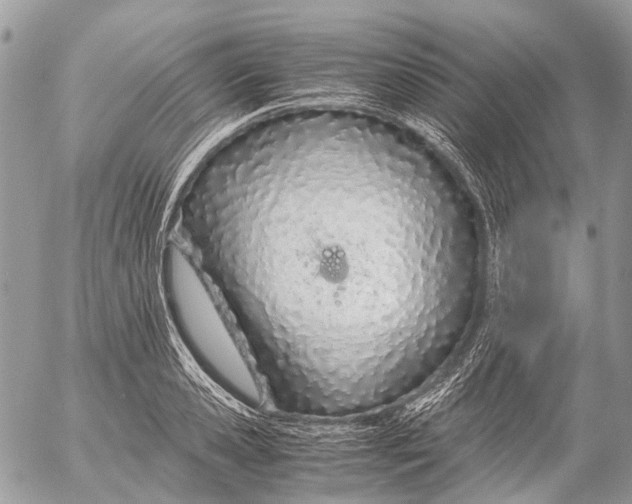 X0000053070941200508081216