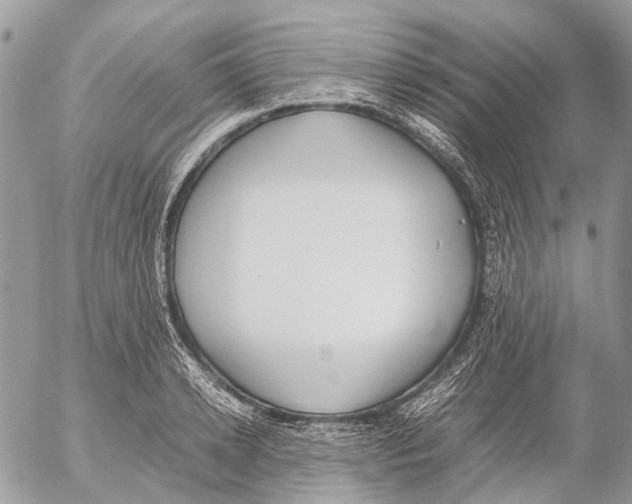 X0000053070942200508081216