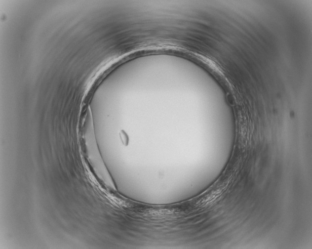 X0000053070943200508081216