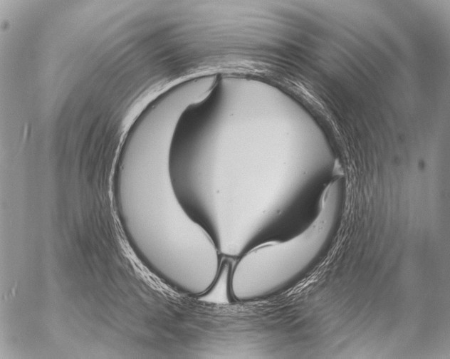 X0000053070944200508081216