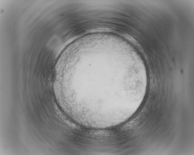 X0000053070945200508081216