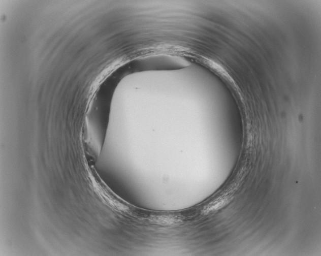 X0000053070946200508081216