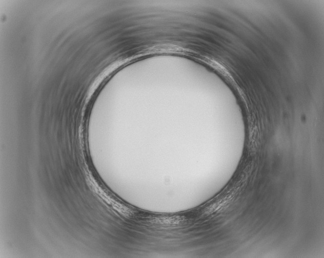 X0000053070947200508081216