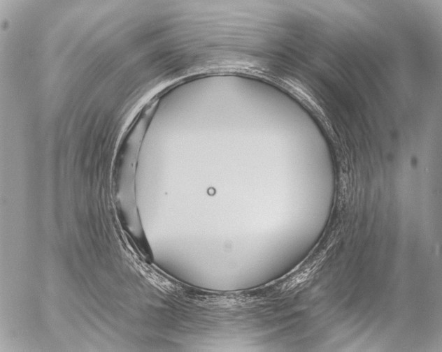 X0000053070948200508081216