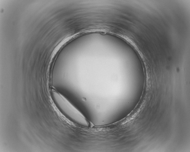 X0000053070949200508081216