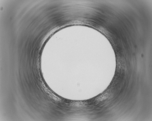 X0000053070950200508081216