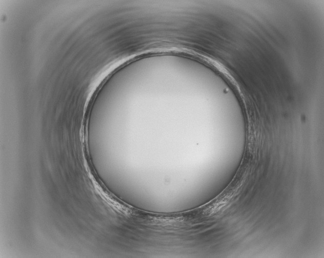 X0000053070951200508081216