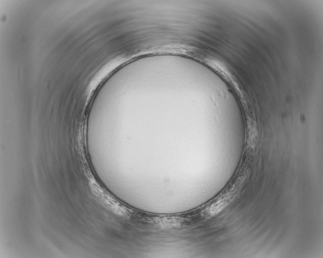 X0000053070952200508081216