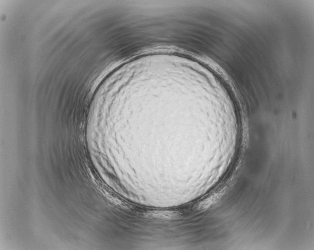 X0000053070953200508081216