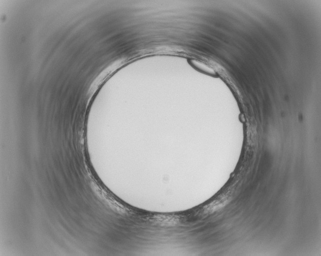 X0000053070954200508081216