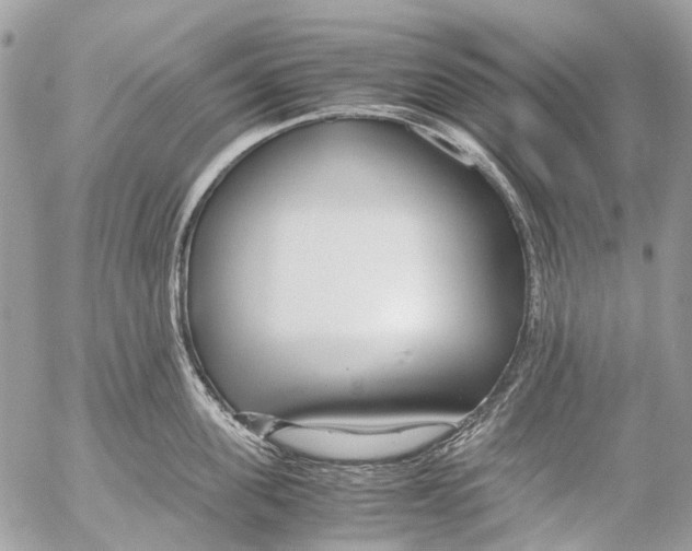 X0000053070955200508081216