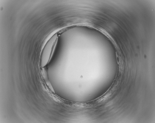 X0000053070956200508081216