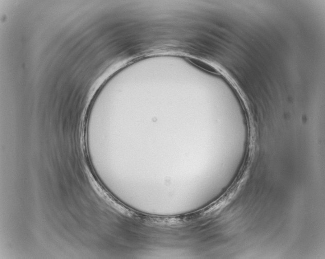 X0000053070957200508081216