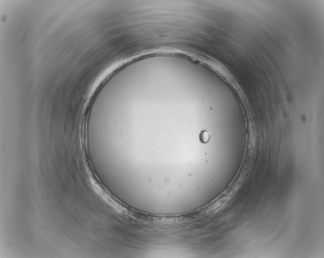 X0000053070958200508081216