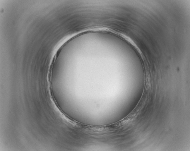 X0000053070959200508081216