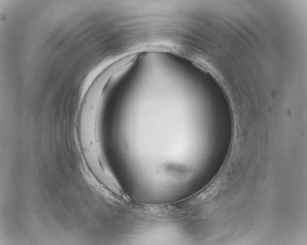 X0000053070960200508081216