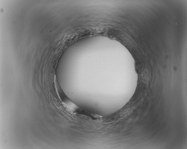 X0000053070961200508081215