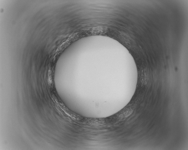 X0000053070962200508081215