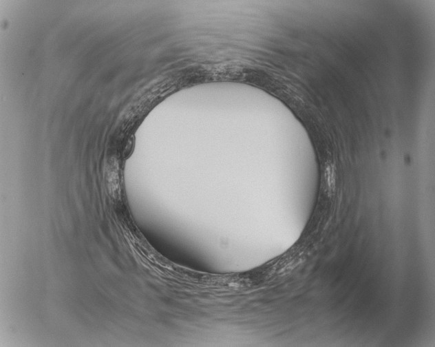 X0000053070963200508081215