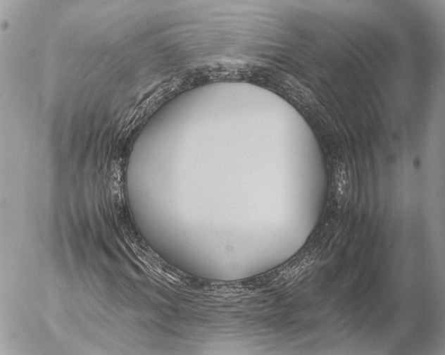 X0000053070964200508081215