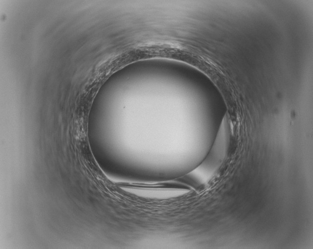 X0000053070965200508081215