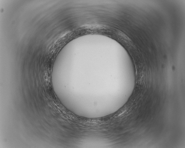 X0000053070966200508081215