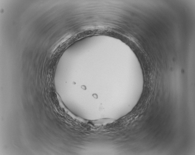 X0000053070967200508081215