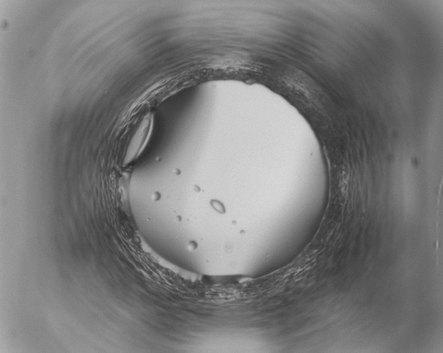 X0000053070968200508081215