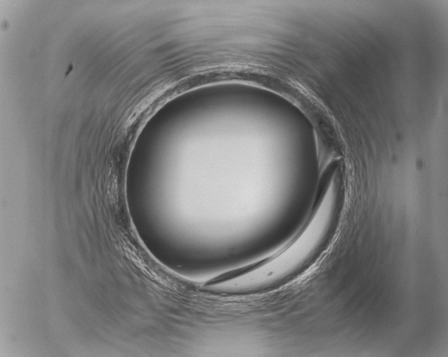 X0000053070969200508081215