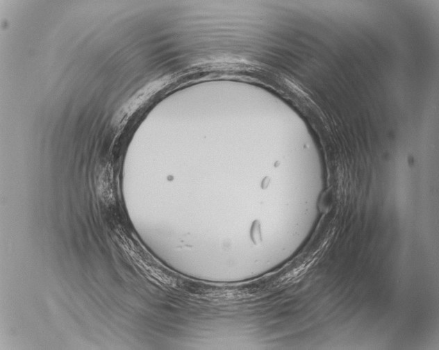 X0000053070970200508081215