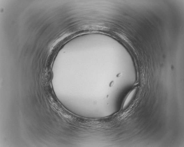 X0000053070971200508081215