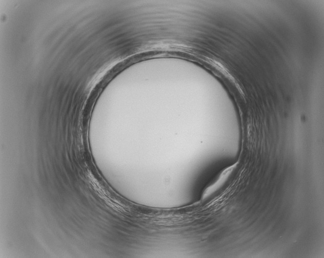 X0000053070972200508081215