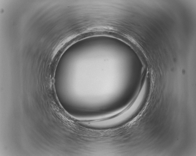 X0000053070973200508081215